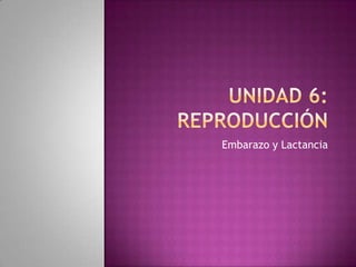 Unidad 6: REPRODUCCIÓN Embarazo y Lactancia 