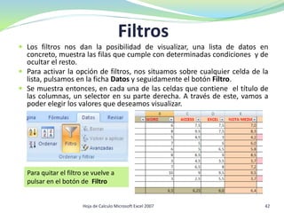 Filtros
 Los filtros nos dan la posibilidad de visualizar, una lista de datos en
concreto, muestra las filas que cumple con determinadas condiciones y de
ocultar el resto.
 Para activar la opción de filtros, nos situamos sobre cualquier celda de la
lista, pulsamos en la ficha Datos y seguidamente el botón Filtro.
 Se muestra entonces, en cada una de las celdas que contiene el título de
las columnas, un selector en su parte derecha. A través de este, vamos a
poder elegir los valores que deseamos visualizar.
Para quitar el filtro se vuelve a
pulsar en el botón de Filtro
42Hoja de Calculo Microsoft Excel 2007
 
