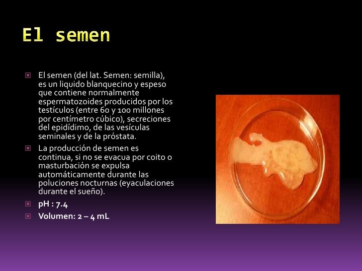 Unidad 6 gametogenesis y Genitales Masculinos