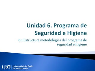6.1 Estructura metodológica del programa de
seguridad e higiene
 