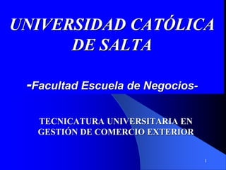 UNIVERSIDAD CATÓLICA
      DE SALTA

 -Facultad Escuela de Negocios-

   TECNICATURA UNIVERSITARIA EN
   GESTIÓN DE COMERCIO EXTERIOR


                                  1
 
