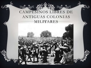 CAMPESINOS LIBRES DE
 ANTIGUAS COLONIAS
     MILITARES
 