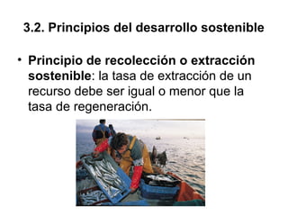 3.2. Principios del desarrollo sostenible
• Principio de recolección o extracción
sostenible: la tasa de extracción de un
recurso debe ser igual o menor que la
tasa de regeneración.
 