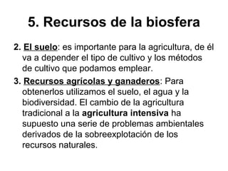 5. Recursos de la biosfera
2. El suelo: es importante para la agricultura, de él
va a depender el tipo de cultivo y los métodos
de cultivo que podamos emplear.
3. Recursos agrícolas y ganaderos: Para
obtenerlos utilizamos el suelo, el agua y la
biodiversidad. El cambio de la agricultura
tradicional a la agricultura intensiva ha
supuesto una serie de problemas ambientales
derivados de la sobreexplotación de los
recursos naturales.
 