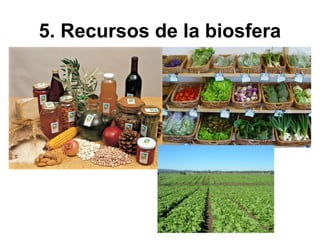 5. Recursos de la biosfera
 