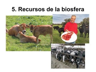 5. Recursos de la biosfera
 