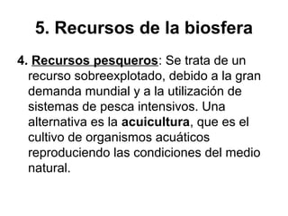 5. Recursos de la biosfera
4. Recursos pesqueros: Se trata de un
recurso sobreexplotado, debido a la gran
demanda mundial y a la utilización de
sistemas de pesca intensivos. Una
alternativa es la acuicultura, que es el
cultivo de organismos acuáticos
reproduciendo las condiciones del medio
natural.
 