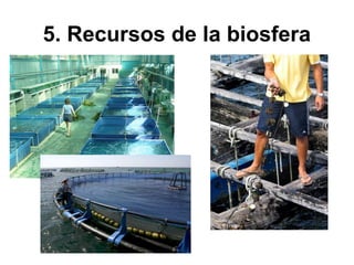 5. Recursos de la biosfera
 