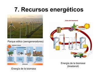 7. Recursos energéticos
Parque eólico (aerogeneradores)
Energía de la biomasa
Energía de la biomasa
(bioetanol)
 