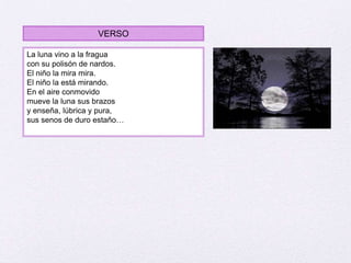 VERSO
La luna vino a la fragua
con su polisón de nardos.
El niño la mira mira.
El niño la está mirando.
En el aire conmovido
mueve la luna sus brazos
y enseña, lúbrica y pura,
sus senos de duro estaño…
 