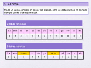 3. LA POESÍA
Medir un verso consiste en contar las sílabas, pero la sílaba métrica no coincide
siempre con la sílaba gramatical.
La man sa en ci na ya ce a quí cor ta da
1 2 3 4 5 6 7 8 9 10 11 12 13
La man sa - en ci na ya ce - a quí cor ta da
1 2 3 4 5 6 7 8 9 10 11
Sílabas fonéticas
Sílabas métricas
 