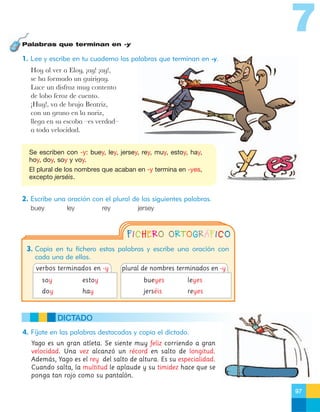 7
Palabras que terminan en -y

1. Lee y escribe en tu cuaderno las palabras que terminan en -y.
Hoy al ver a Eloy, Áay! Áay!,
se ha formado un guirigay.
Luce un disfraz muy contento
de lobo feroz de cuento.
ÁHuy!, va de bruja Beatriz,
con un grano en la nariz,
llega en su escoba Ðes verdadÐ
a toda velocidad.
Se escriben con -y: buey, ley, jersey, rey, muy, estoy, hay,
hoy, doy, soy y voy.
El plural de los nombres que acaban en -y termina en -yes,
excepto jerséis.

2. Escribe una oración con el plural de las siguientes palabras.
buey

ley

rey

jersey

FICHERO ORTOGRÁFICO
3. Copia en tu fichero estas palabras y escribe una oración con
cada una de ellas.
verbos terminados en -y

plural de nombres terminados en -y

soy

estoy

bueyes

leyes

doy

hay

jerséis

reyes

DICTADO
4. Fíjate en las palabras destacadas y copia el dictado.
Yago es un gran atleta. Se siente muy feliz corriendo a gran
velocidad. Una vez alcanzó un récord en salto de longitud.
Además, Yago es el rey del salto de altura. Es su especialidad.
Cuando salta, la multitud le aplaude y su timidez hace que se
ponga tan rojo como su pantalón.
97

 