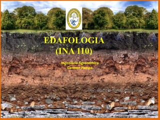 EDAFOLOGIA
(INA 110)
Ingeniería Agronómica
Carmen Pampa
Doc. Rómulo Torrez Elias (Ing.)
 