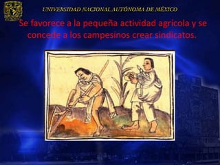 Se favorece a la pequeña actividad agrícola y se
  concede a los campesinos crear sindicatos.
 