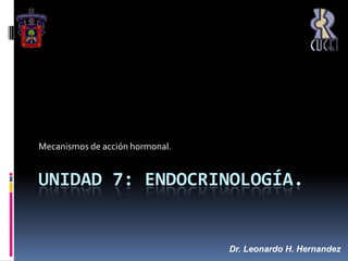 Unidad 7: ENDOCRINOLOGÍA. Mecanismos de acción hormonal.  Dr. Leonardo H. Hernandez 