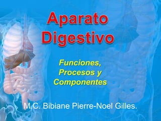 Funciones,
Procesos y
Componentes
M.C. Bibiane Pierre-Noel Gilles.
 