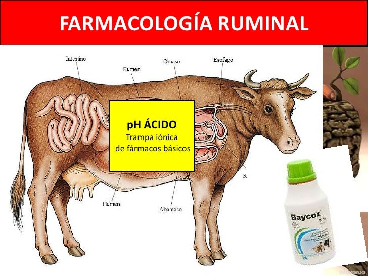 Unidad 7 farmacología de digestivo 2º parte