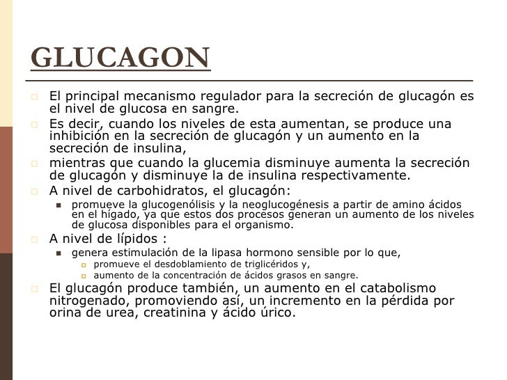 Unidad 7 insulina & glucagon Unidad 7 insulina & glucagon