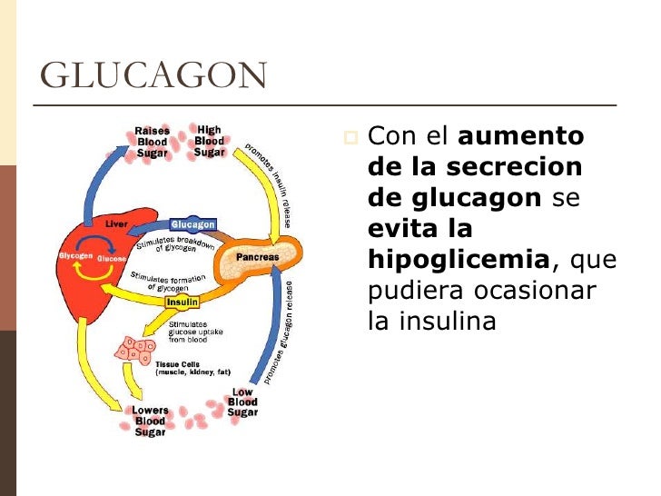 Si llaman las proteínas la impotencia