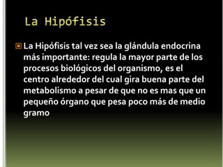Hormona liberadora de gonadotropinas (GnRH) La hormona liberadora de gonadotrofinas (GnRH ) es un decapéptido que actúa sobre las hormonas luteinizante o LH ( Ovulación ) y foliculoestimulante o FSH de la adenohipófisis estimulando su liberación.( Espermatogénesis en el hombre )