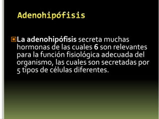 Hormona inhibidora de somatotrofina (somatostatina) Es una hormona inhibidora de la secreción de somatotropina y de otras hormonas como la insulina, el glucagón y el polipéptido pancreático. A nivel hipofisario inhibe la secreción de TSH. La zona secretora se encuentra en la región periventricular del hipotálamo. Es un tetradecapéptido que se encuentra en el hipotálamo 