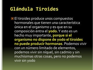 La HipófisisLa Hipófisis tal vez sea la glándula endocrina más importante: regula la mayor parte de los procesos biológicos del organismo, es el centro alrededor del cual gira buena parte del metabolismo a pesar de que no es mas que un pequeño órgano que pesa poco más de medio gramo