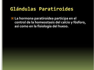 AdenohipófisisLa adenohipófisis secreta muchas hormonas de las cuales 6 son relevantes para la función fisiológica adecuada del organismo, las cuales son secretadas por 5 tipos de células diferentes. 