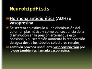 TiroxinaLa hormona más importante que produce la tiroides contiene yodo y se llama tiroxina. Esta tiene dos efectos en el cuerpo:Control de la producción de energia en el cuerpo: la tiroxina es necesaria para mantener la razón metabólica basal a un nivel normal. Durante los años de crecimiento: mientras la hormona de crecimiento estimula el aumento de tamaño, la tiroxina hace que los tejidos vayan tomado la forma apropiada a medida que van creciendo. Es decir, la tiroxina hace que los tejidos se desarrollen en las formas y proporciones adecuadas