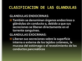 CLASIFICACION DE LAS GLANDULASGLANDULAS ENDOCRINAS:También se denominan órganos endocrinos o glándulas sin conducto o, debido a que sus secreciones se liberan directamente en el torrente sanguíneo.GLANDULAS EXOCRINAS:Liberan sus secreciones sobre la superficie interna o externa de los tejidos cutáneos, la mucosa del estómago o el revestimiento de los conductos pancreáticos