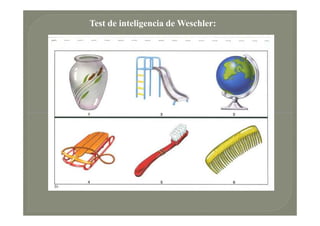 Test de inteligencia de Weschler:
 