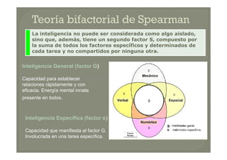 Inteligencia General (factor G)
Capacidad para establecer
relaciones rápidamente y con
eficacia. Energía mental innata
presente en todos.
La inteligencia no puede ser considerada como algo aislado,
sino que, además, tiene un segundo factor S, compuesto por
la suma de todos los factores específicos y determinados de
cada tarea y no compartidos por ninguna otra.
Inteligencia General (factor G)
Capacidad para establecer
relaciones rápidamente y con
eficacia. Energía mental innata
presente en todos.
Inteligencia Específica (factor s)
Capacidad que manifiesta al factor G.
Involucrada en una tarea específica.
 