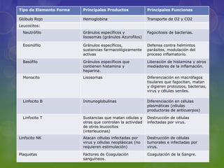 Tipo de Elemento Forme   Principales Productos              Principales Funciones

Glóbulo Rojo             Hemoglobina                        Transporte de O2 y CO2
Leucocitos:
  Neutrófilo             Gránulos específicos y             Fagocitosis de bacterias.
                         lisosomas (gránulos Azurofilos)

  Eosinófilo             Gránulos específicos,              Defensa contra helmintos
                         sustancias farmacológicamente      parásitos, modulación del
                         activas                            proceso inflamatorio.

  Basófilo               Gránulos específicos que           Liberación de histamina y otros
                         contienen histamina y              mediadores de la inflamación.
                         heparina.
  Monocito               Lisosomas                          Diferenciación en macrófagos
                                                            tisulares que fagocitan, matan
                                                            y digieren protozoos, bacterias,
                                                            virus y células seniles.

  Linfocito B            Inmunoglobulinas                   Diferenciación en células
                                                            plasmáticas (células
                                                            productoras de anticuerpos)

  Linfocito T            Sustancias que matan células y     Destrucción de células
                         otras que controlan la actividad   infectadas por virus.
                         de otros leucocitos
                         (interleucinas)
Linfocito NK             Atacan células infectadas por      Destrucción de células
                         virus y células neoplásicas (no    tumorales e infectadas por
                         requieren estimulación)            virus.

Plaquetas                Factores de Coagulación            Coagulación de la Sangre.
                         sanguíneos.
 
