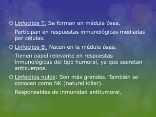  Linfocitos T: Se forman en médula ósea.
  Participan en respuestas inmunológicas mediadas
  por células.
 Linfocitos B: Nacen en la médula ósea.
  Tienen papel relevante en respuestas
  inmunológicas del tipo humoral, ya que secretan
  anticuerpos.
 Linfocitos nulos: Son más grandes. También se
  conocen como NK (natural killer).
  Responsables de inmunidad antitumoral.
 