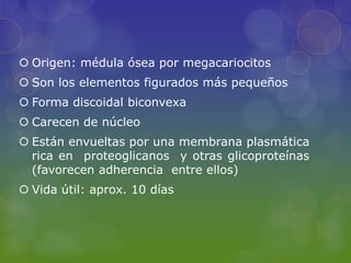  Origen: médula ósea por megacariocitos
 Son los elementos figurados más pequeños
 Forma discoidal biconvexa
 Carecen de núcleo
 Están envueltas por una membrana plasmática
  rica en proteoglicanos y otras glicoproteínas
  (favorecen adherencia entre ellos)
 Vida útil: aprox. 10 días
 