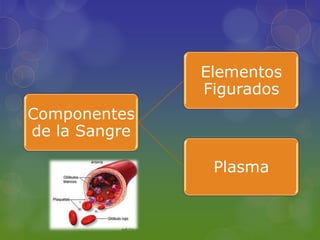 Elementos
               Figurados
Componentes
de la Sangre

                Plasma
 