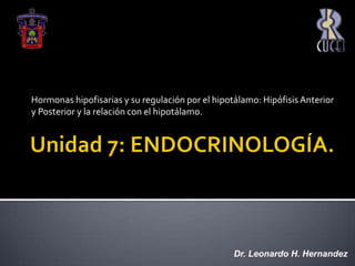 Unidad 7: ENDOCRINOLOGÍA. Hormonas hipofisarias y su regulación por el hipotálamo: Hipófisis Anterior y Posterior y la relación con el hipotálamo.  Dr. Leonardo H. Hernandez 