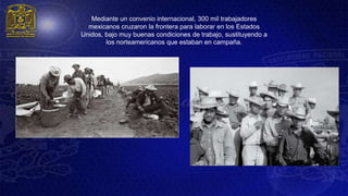 Mediante un convenio internacional, 300 mil trabajadores
  mexicanos cruzaron la frontera para laborar en los Estados
Unidos, bajo muy buenas condiciones de trabajo, sustituyendo a
        los norteamericanos que estaban en campaña.
 