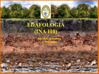 EDAFOLOGIA
(INA 110)
Ingeniería Agronómica
Carmen Pampa
Doc. Rómulo Torrez Elias (Ing.)
 