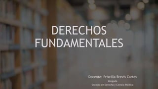 DERECHOS
FUNDAMENTALES
Docente: Priscilla Brevis Cartes
Abogada
Doctora en Derecho y Ciencia Política
 