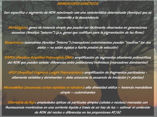 MARCADORES GENÉTICOS

Gen específico o segmento de ADN relacionado con una característica determinada (fenotipo) que se
                                  transmite a la descendencia

   Morfológicos: genes de herencia simple que pueden ser fácilmente observados en generaciones
    sucesivas (fenotipo “externo”) (p.e. genes que codifican para la pigmentación de las flores)

Bioquímicos: isoenzimas (fenotipo “interno”) (marcadores codominantes: pueden “medirse” los dos
                     alelos – no están sujetos a fuerte presión de selección)

RAPDs (Random Amplified Polymorphic DNA): amplificación de segmentos altamente polimórficos
 del ADN que pueden señalar diferencias entre poblaciones/individuos (marcadores dominantes)

   AFLP (Amplified Fragment Lenght Polymorphism): amplificación de fragmentos particulares -
     altamente variables y dominantes – debe conocerse la secuencia de iniciación (+ plantas)

Microsatélites (secuencias cortas repetidas en tándem): alta diversidad alélica – herencia mendeliana
                                        simple – codominantes

   Citometría de flujo: propiedades ópticas de particulas simples (células o núcleos) marcadas con
 fluorescencia moviéndose en una corriente líquida a trav de un haz de luz – estimar el contenido
                                                          és
                      de ADN del núcleo o diferencias en las proporciones AT/GC
 