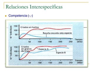 Relaciones Interespecíficas
   Competencia (-,-)
 