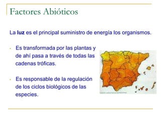 Factores Abióticos

La luz es el principal suministro de energía los organismos.

•   Es transformada por las plantas y
    de ahí pasa a través de todas las
    cadenas tróficas.

•   Es responsable de la regulación
    de los ciclos biológicos de las
    especies.
 