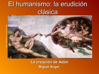 El humanismo: la erudición
                                                    clásica
Imagen: Wikipedia, la enciclopedia libre




                                                  La creación de Adán
                                                      Miguel Ángel
 