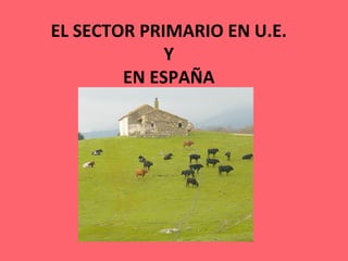EL	
  SECTOR	
  PRIMARIO	
  EN	
  U.E.	
  	
  
Y	
  	
  
EN	
  ESPAÑA	
  
	
  
 
