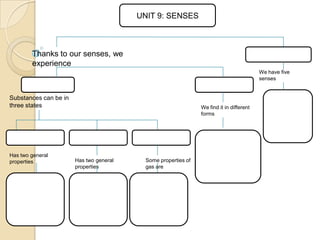 UNIT 9: SENSES

Thanks to our senses, we
experience
We have five
senses

Substances can be in
three states

Has two general
properties

We find it in different
forms

Has two general
properties

Some properties of
gas are

 