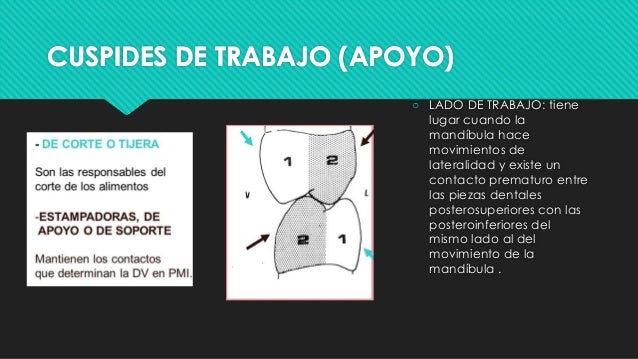 UNIDAD IX CONSIDERACIONES DE OCLUSIÓN EN OPERATORIA DENTAL