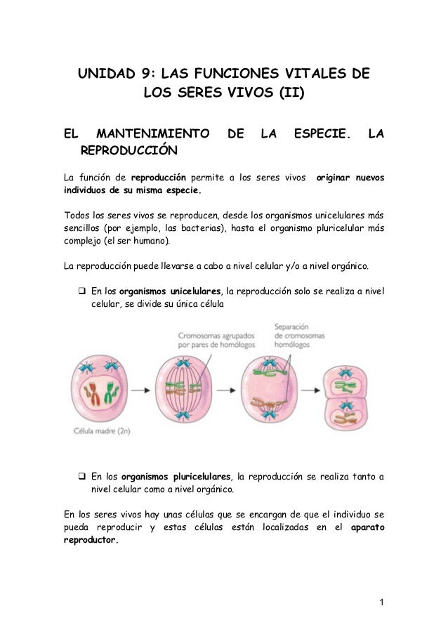 Unidad 9 las_funciones_vitales_de_los_seres_vivos_ii