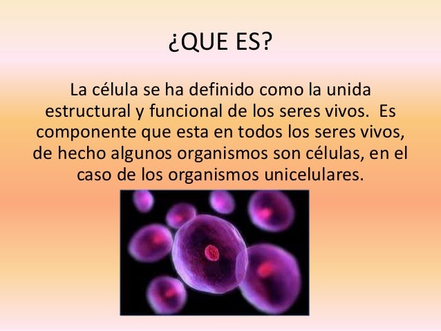 Unidad basica estructural de los seres vivos