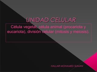 UNIDAD CELULARUNIDAD CELULAR
Célula vegetal, célula animal (procariota y
eucariota), división celular (mitosis y meiosis).
HALLAR MOHAMED SLIMAN
 