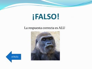 ¡FALSO!
        La respuesta correcta es ALU




ATRÁS
 